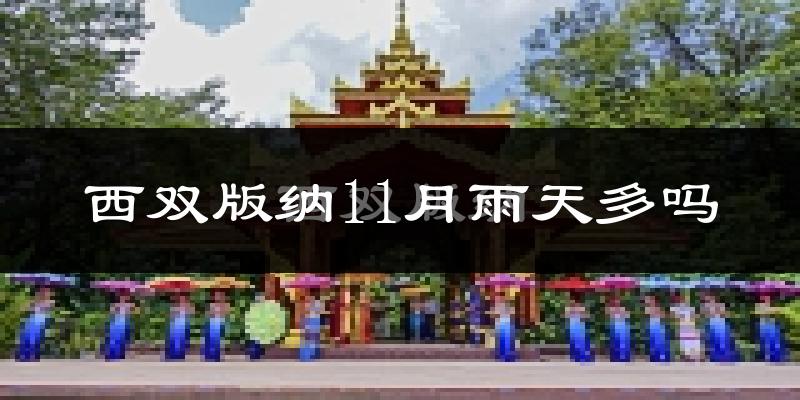 西双版纳11月雨天多吗?