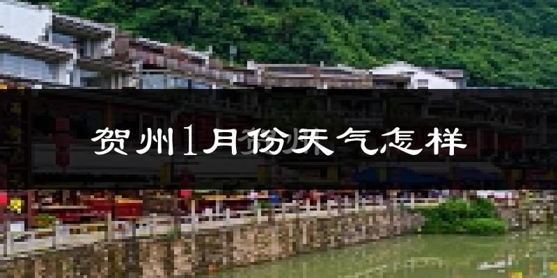 贺州市1月份天气如何?冷吗?