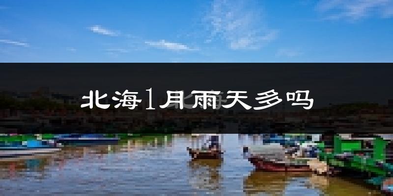 北海1月雨天多吗?
