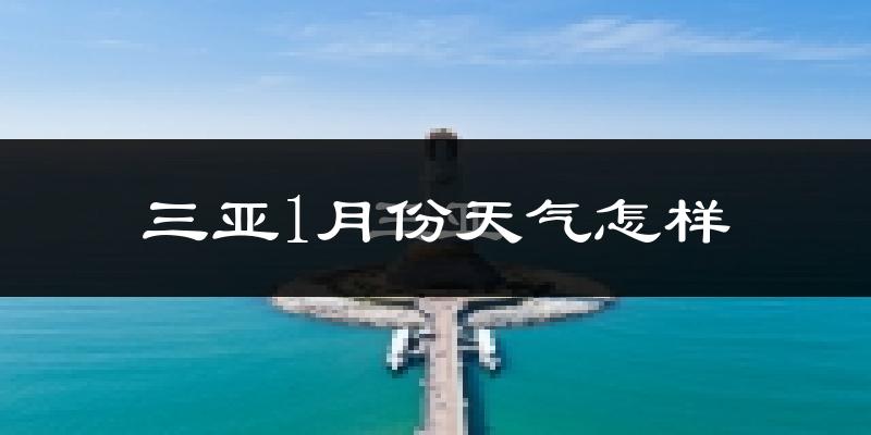 三亚市1月份天气如何?冷吗?